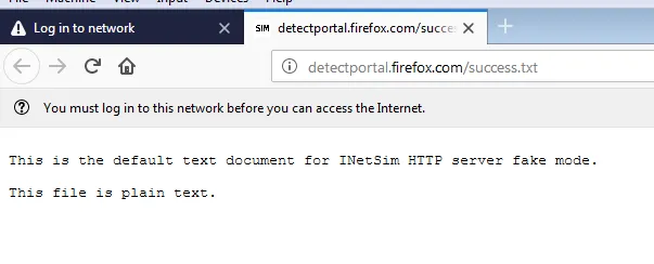 Browser response of the victim machine